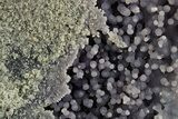 Purple and Green Botryoidal Grape Agate - Indonesia #370412-3